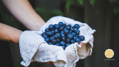 Blaubeeren bei Gastritis