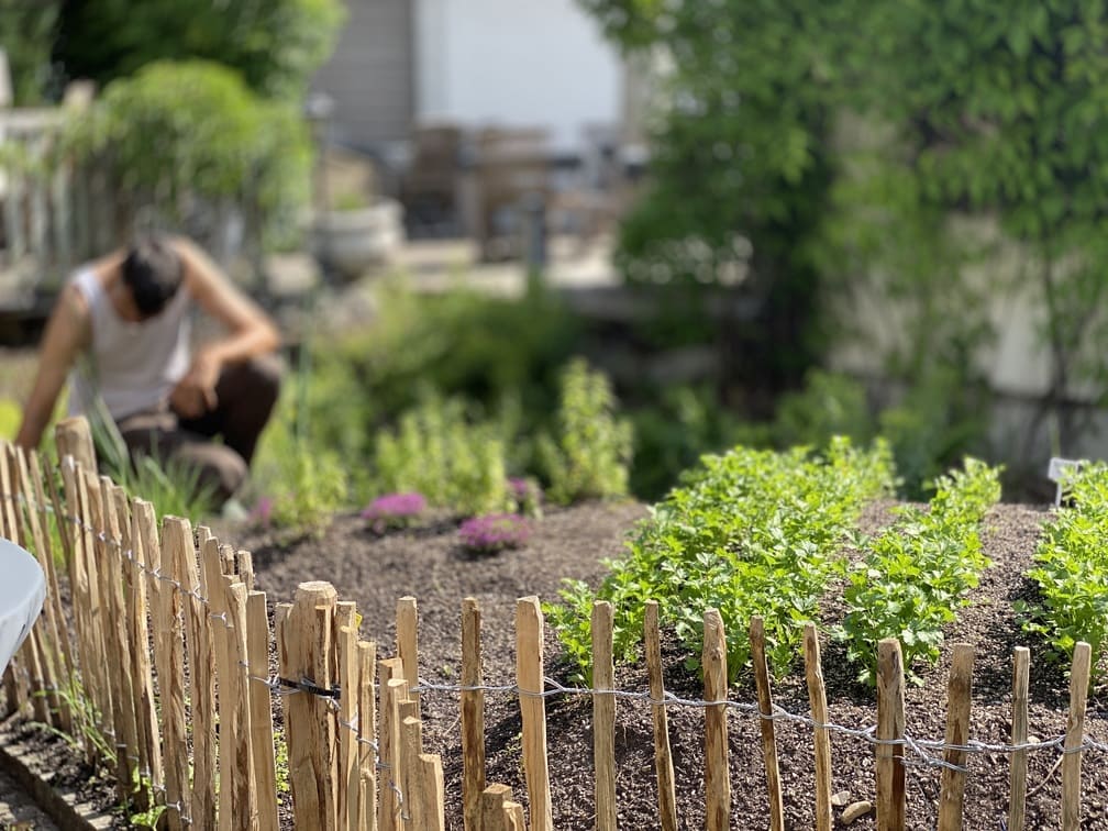 Beet Bauerngarten Rottach Egern