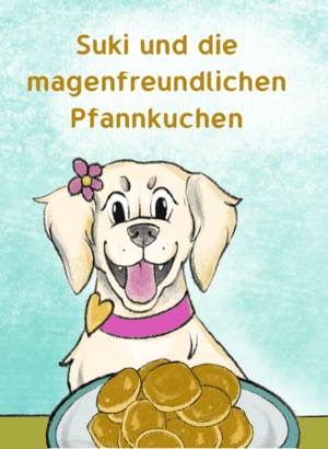 Zine Kochbüchlein Sukis magenfreundliche Pfannkuchen