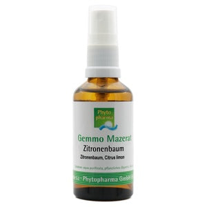 Citrus limon - Zitronenbaum