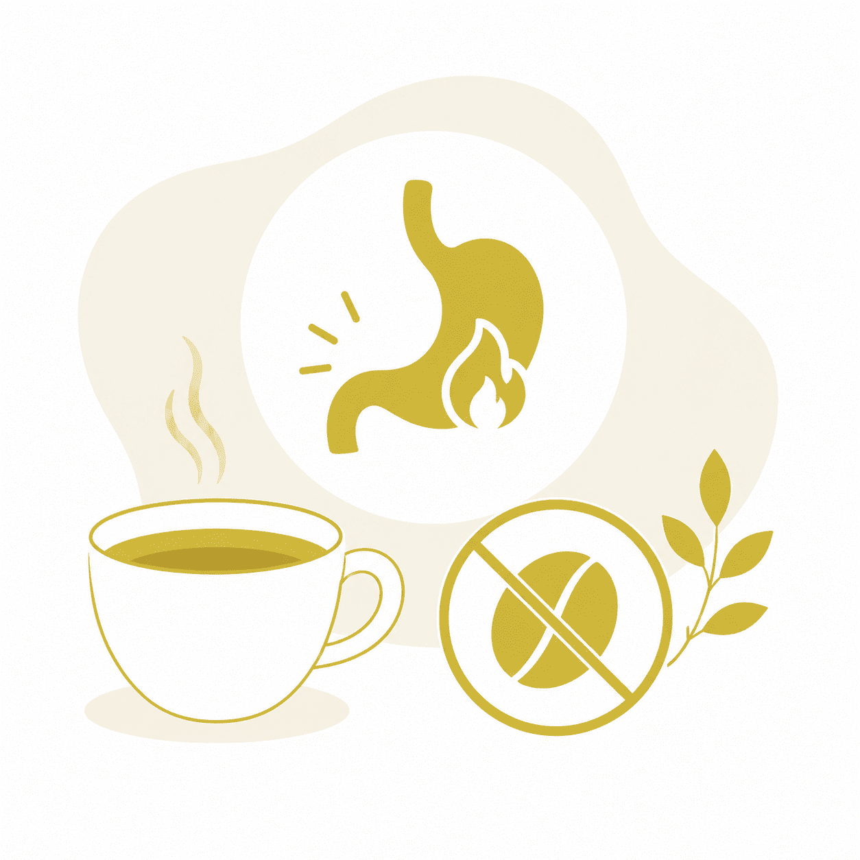 Kaffee und Sodbrennen: Warum dein Bauch rebelliert