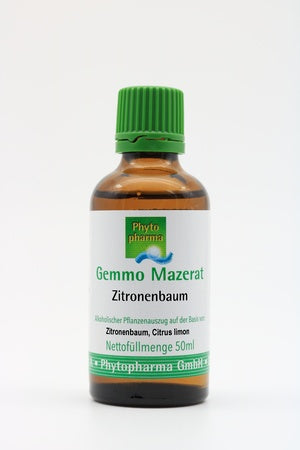 Citrus limon - Zitronenbaum